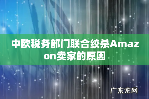 中欧税务部门联合绞杀Amazon卖家的原因