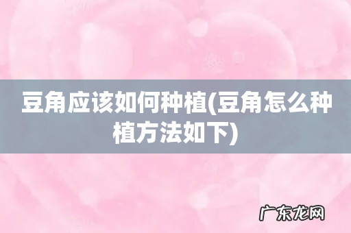 豆角怎么种植方法如下 豆角应该如何种植