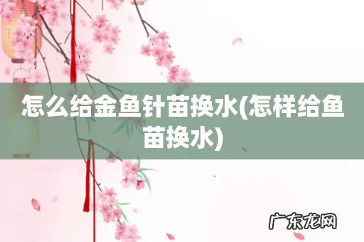 怎样给鱼苗换水 怎么给金鱼针苗换水