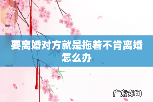 要离婚对方就是拖着不肯离婚怎么办