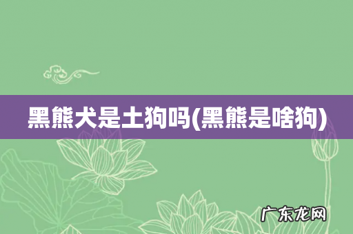黑熊是啥狗 黑熊犬是土狗吗