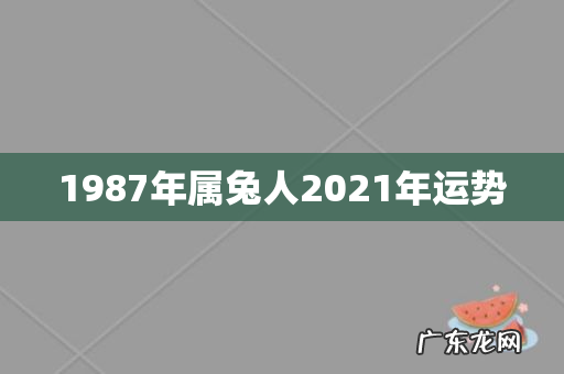 1987年属兔人2021年运势
