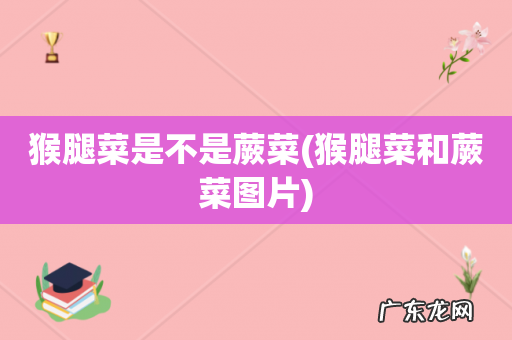 猴腿菜和蕨菜图片 猴腿菜是不是蕨菜