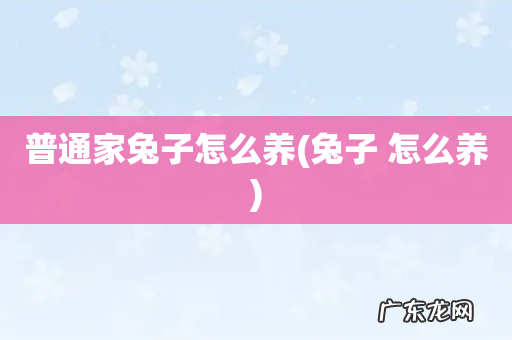 兔子 怎么养 普通家兔子怎么养