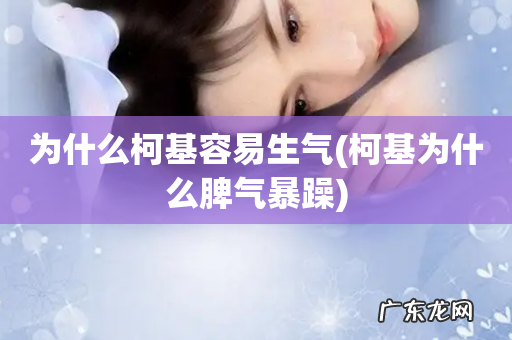 柯基为什么脾气暴躁 为什么柯基容易生气