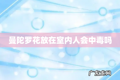 曼陀罗花放在室内人会中毒吗