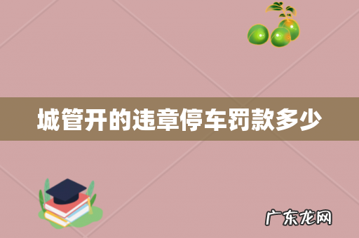 城管开的违章停车罚款多少