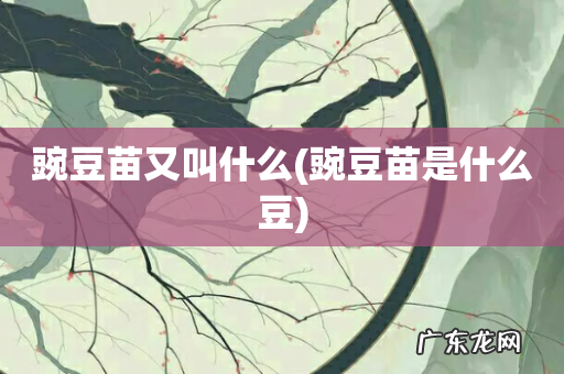 豌豆苗是什么豆 豌豆苗又叫什么