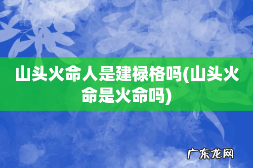 山头火命是火命吗 山头火命人是建禄格吗