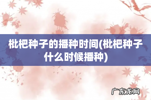 枇杷种子什么时候播种 枇杷种子的播种时间