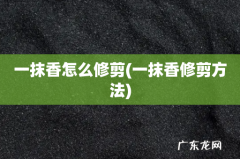 一抹香修剪方法 一抹香怎么修剪