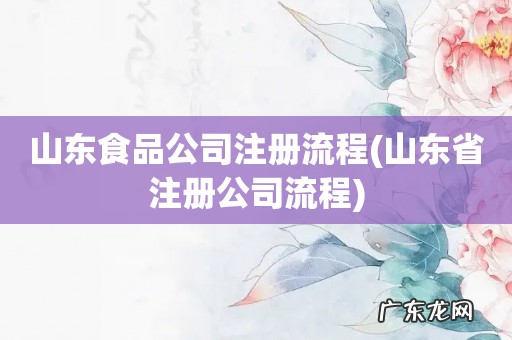 山东省注册公司流程 山东食品公司注册流程