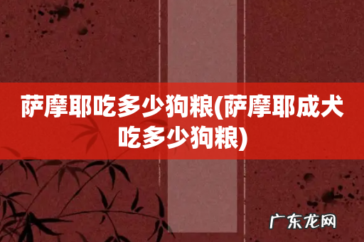 萨摩耶成犬吃多少狗粮 萨摩耶吃多少狗粮