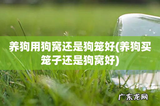 养狗买笼子还是狗窝好 养狗用狗窝还是狗笼好