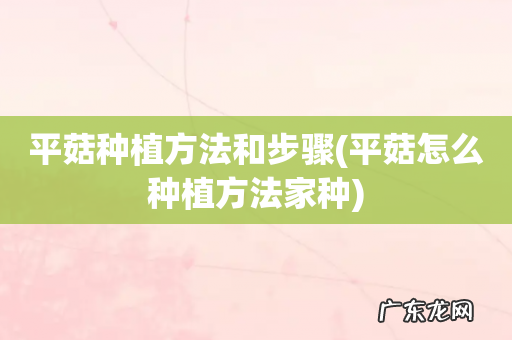 平菇怎么种植方法家种 平菇种植方法和步骤