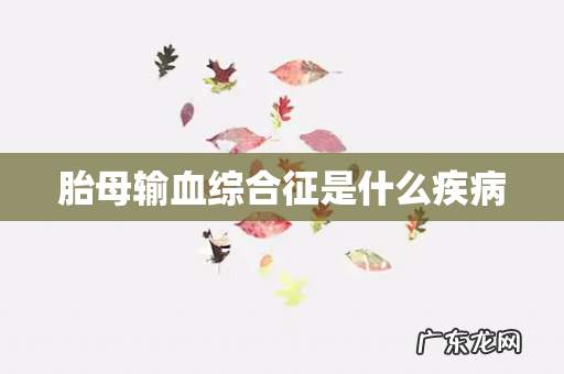 胎母输血综合征是什么疾病