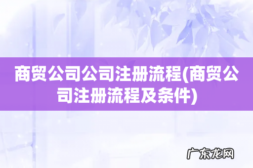 商贸公司注册流程及条件 商贸公司公司注册流程