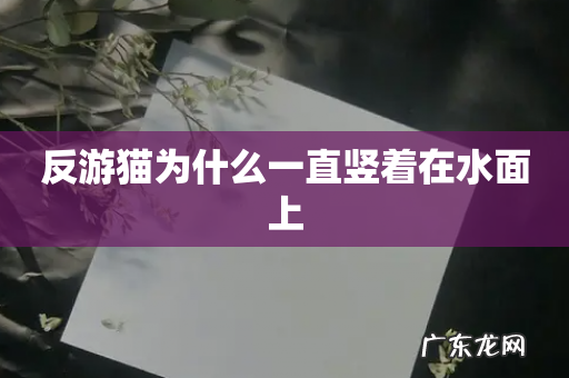 反游猫为什么一直竖着在水面上