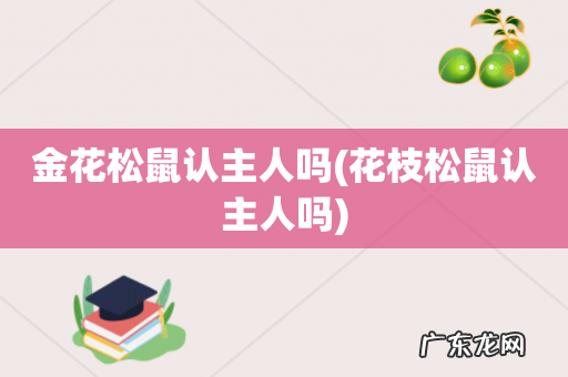 花枝松鼠认主人吗 金花松鼠认主人吗