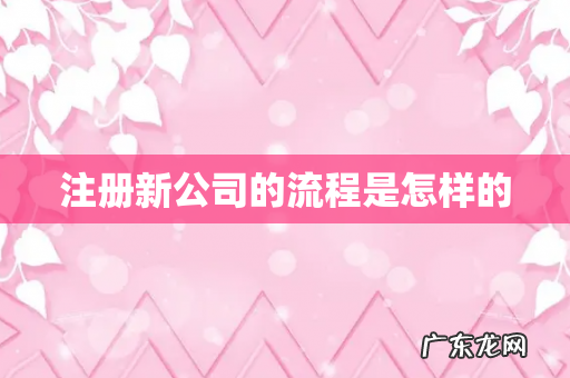 注册新公司的流程是怎样的