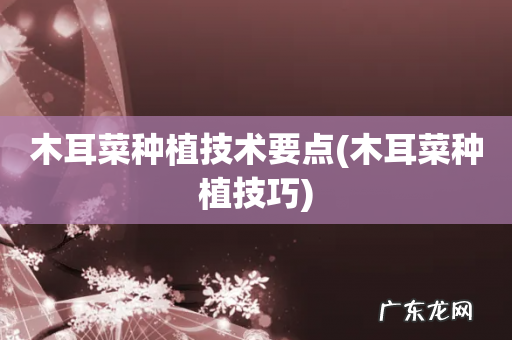 木耳菜种植技巧 木耳菜种植技术要点