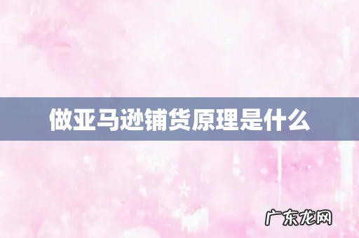 做亚马逊铺货原理是什么