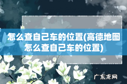 高德地图怎么查自己车的位置 怎么查自己车的位置