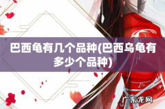 巴西乌龟有多少个品种 巴西龟有几个品种