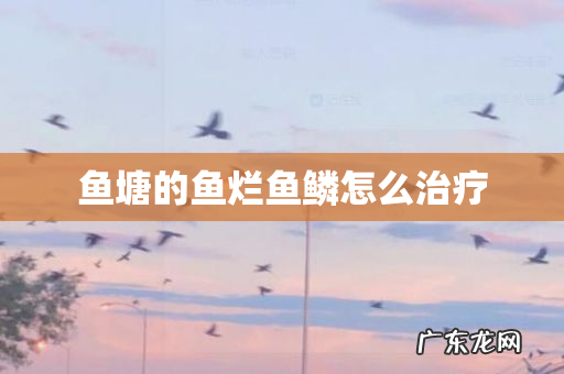 鱼塘的鱼烂鱼鳞怎么治疗