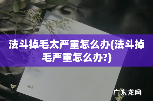 法斗掉毛严重怎么办? 法斗掉毛太严重怎么办
