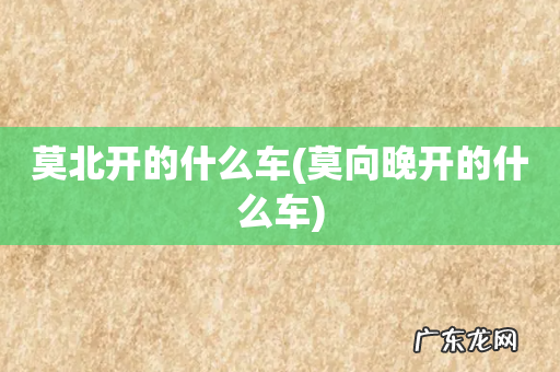 莫向晚开的什么车 莫北开的什么车
