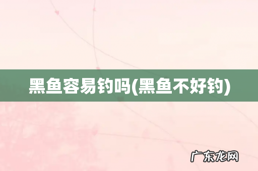 黑鱼不好钓 黑鱼容易钓吗
