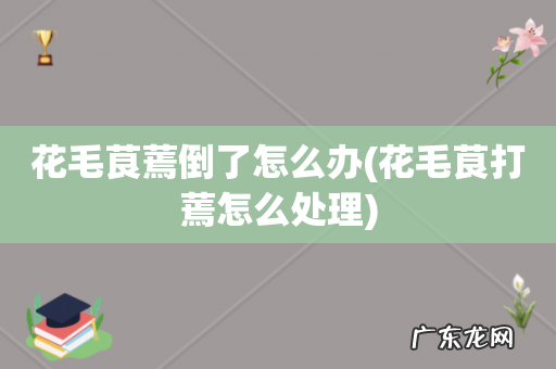 花毛茛打蔫怎么处理 花毛茛蔫倒了怎么办