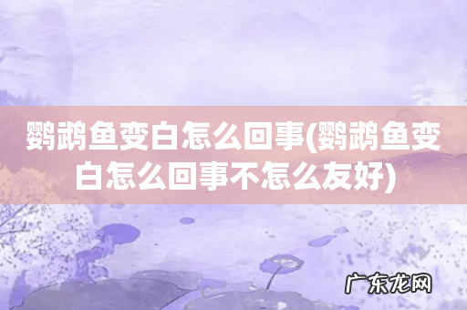 鹦鹉鱼变白怎么回事不怎么友好 鹦鹉鱼变白怎么回事