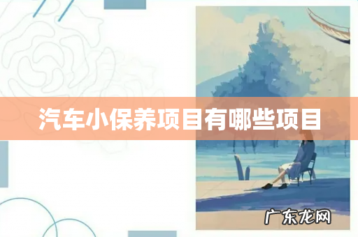 汽车小保养项目有哪些项目