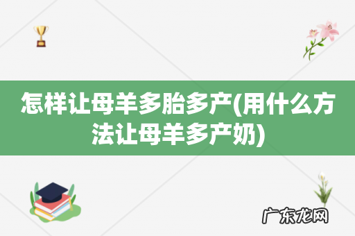 用什么方法让母羊多产奶 怎样让母羊多胎多产
