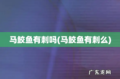 马鲛鱼有刺么 马鲛鱼有刺吗