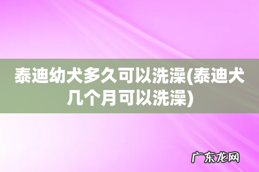 泰迪犬几个月可以洗澡 泰迪幼犬多久可以洗澡