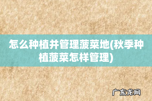 秋季种植菠菜怎样管理 怎么种植并管理菠菜地