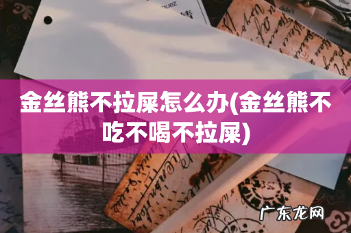 金丝熊不吃不喝不拉屎 金丝熊不拉屎怎么办
