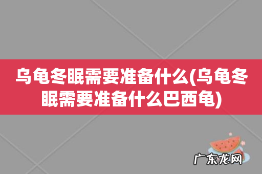 乌龟冬眠需要准备什么巴西龟 乌龟冬眠需要准备什么