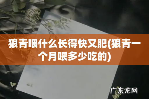 狼青一个月喂多少吃的 狼青喂什么长得快又肥