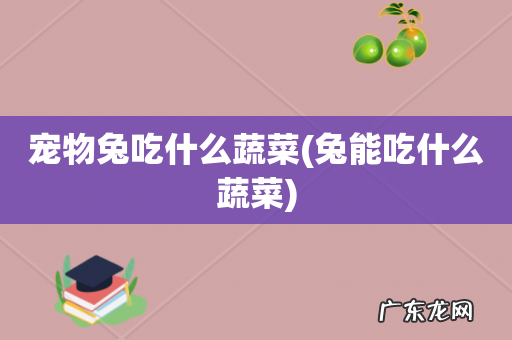 兔能吃什么蔬菜 宠物兔吃什么蔬菜