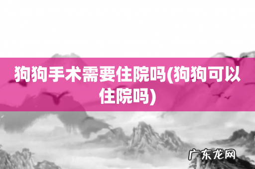 狗狗可以住院吗 狗狗手术需要住院吗