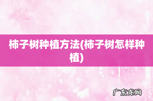 柿子树怎样种植 柿子树种植方法