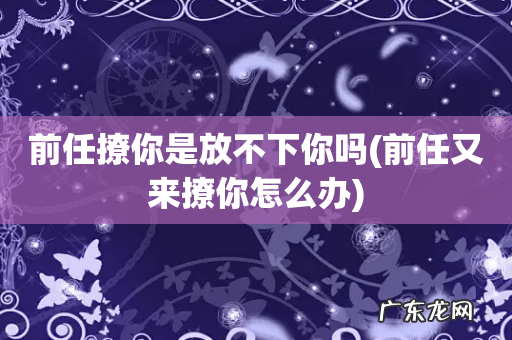 前任又来撩你怎么办 前任撩你是放不下你吗