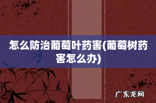 葡萄树药害怎么办 怎么防治葡萄叶药害