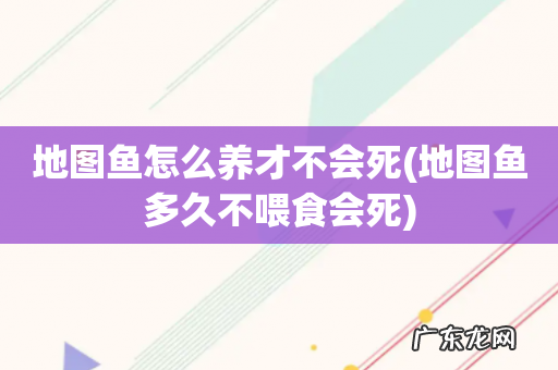 地图鱼多久不喂食会死 地图鱼怎么养才不会死
