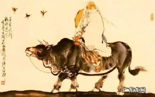 牛穿鼻子后有什么影响 牛鼻子是牛的弱点吗?