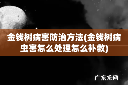 金钱树病虫害怎么处理怎么补救 金钱树病害防治方法